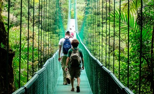 monteverde students on forest bridge