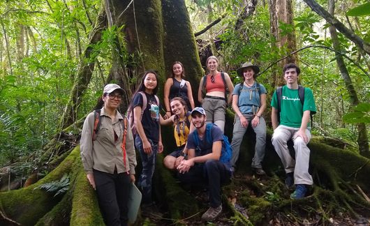 Monteverde