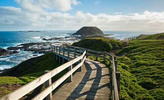 melbourne phillip island nobbies