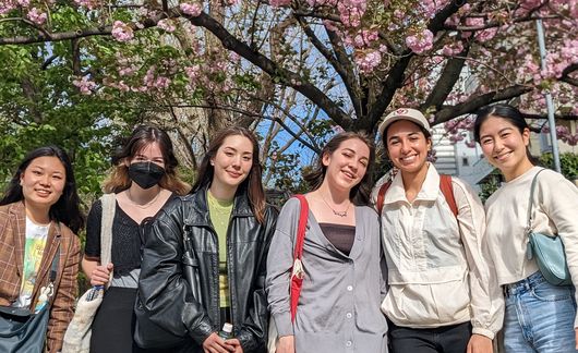 study abroad tokyo students cherry tree