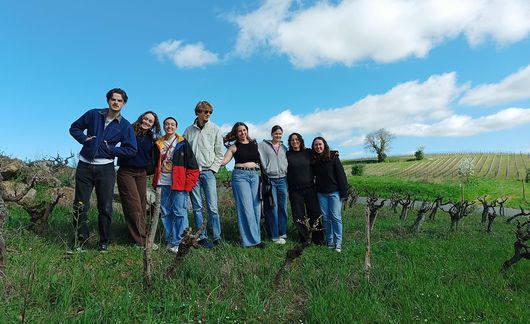 toulouse study abroad student group vineyard