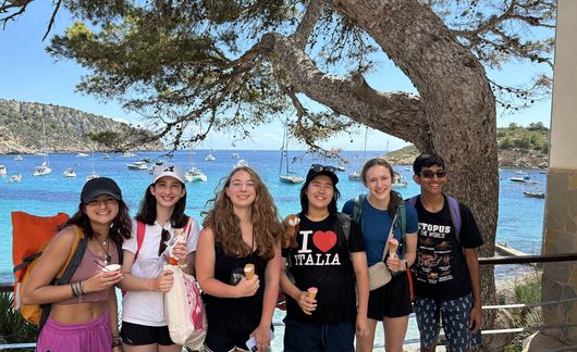 palma-de-mallorca_spainsant-elm.jpg
