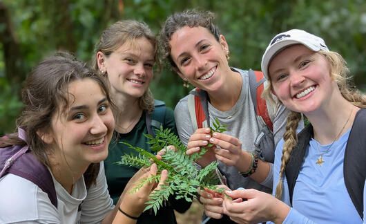 ecology course abroad monteverde costa rica