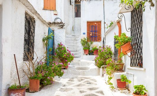 athens-greece-white-walkway-plants.jpg