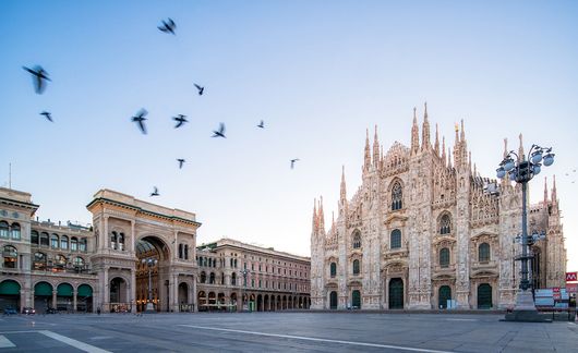 milan-italy-bird-flying.jpg