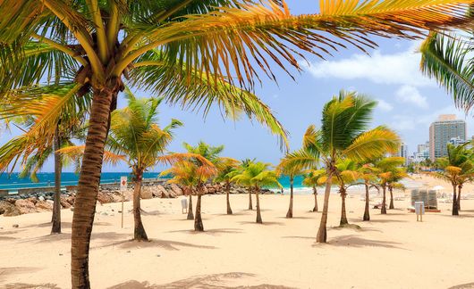 san-juan-puerto-rico-beach-palm-tree.jpg