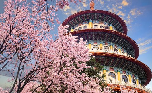 taipei-taiwan-temple-cherry-blossoms.jpg