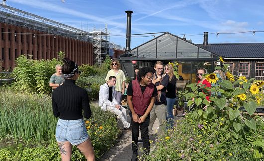 copenhagen-ostergro-rooftop-farm-students-sunflowers