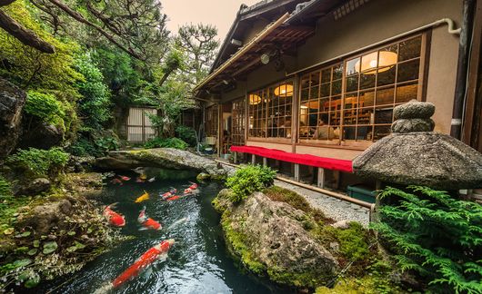 koi-pond-in-a-japanese-garden-outside-of-a-restaurant-in-kyoto.jpg