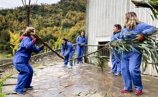 shanghai-students-coveralls-service-learning-bamboo-clearing