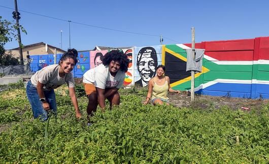 cape-town-ccii-students-volunteering-community-garden