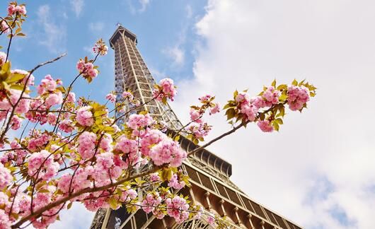 eiffel-tower-in-springtime.jpg