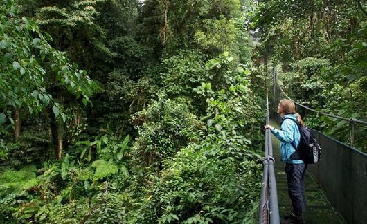 monteverde-student-on-bridge.jpg