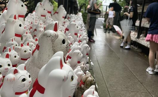 shopping-in-tokyo.jpeg