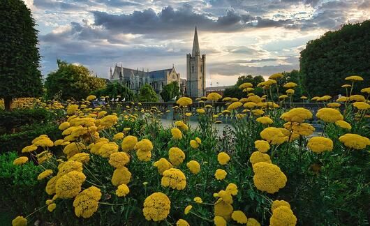 st-patricks-park-dublin.jpg