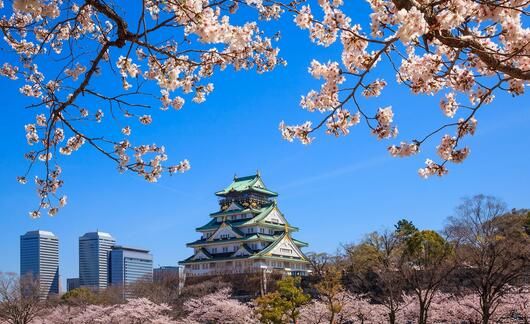 cherry-blossoms-in-osaka.jpg