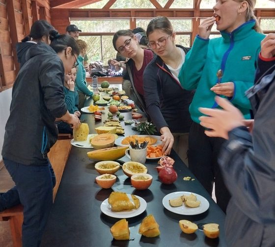 fruit cutting buffet abroad monteverde ciee