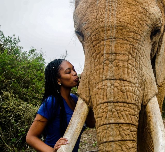 Cape Town girl kissing elephant