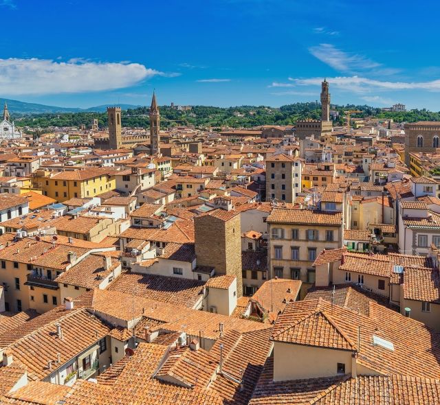 aerial view of florence