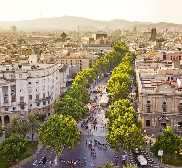 barcelona spain street tree lined buildings