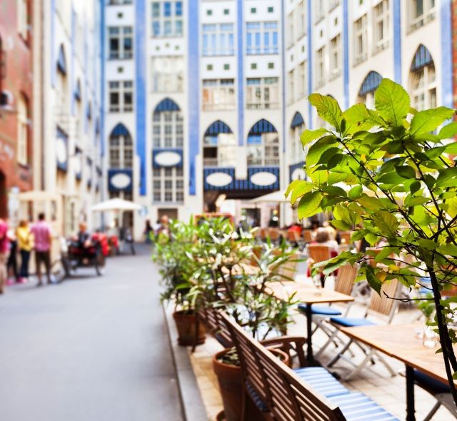 berlin germany plaza eating tables green plant