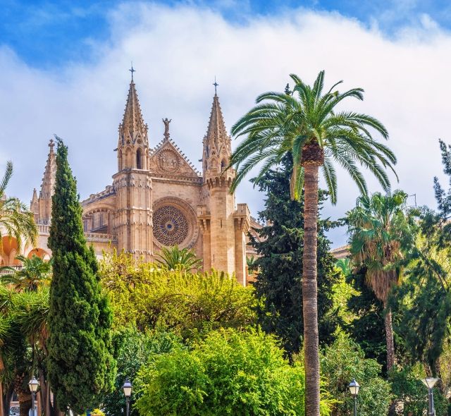 downtown mallorca spain building palm trees