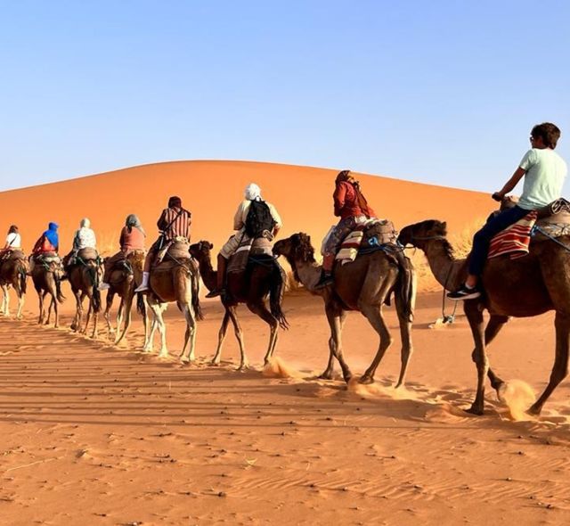 camel ride rabat study abroad