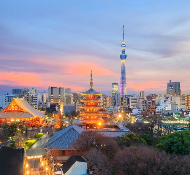 View of Tokyo skyline at sunset in Japan