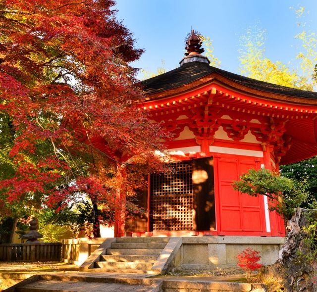 tofuku-Ji Temple Kyoto, Japan.jpg