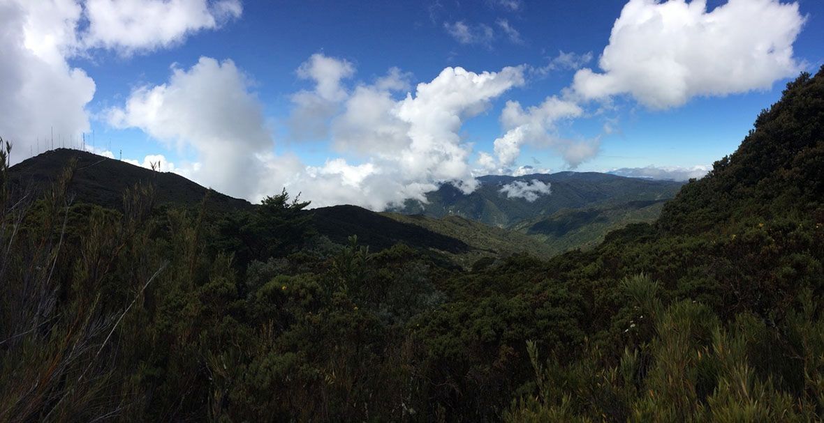 Spiders of Costa Rica - Tropical Ecology