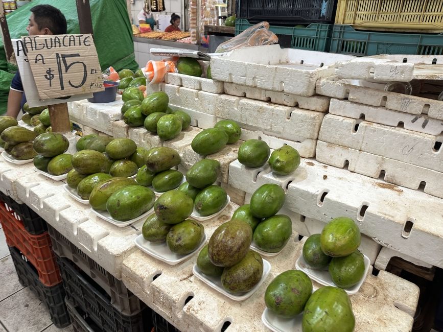 Avocados for sale for 15 pesos a kilo