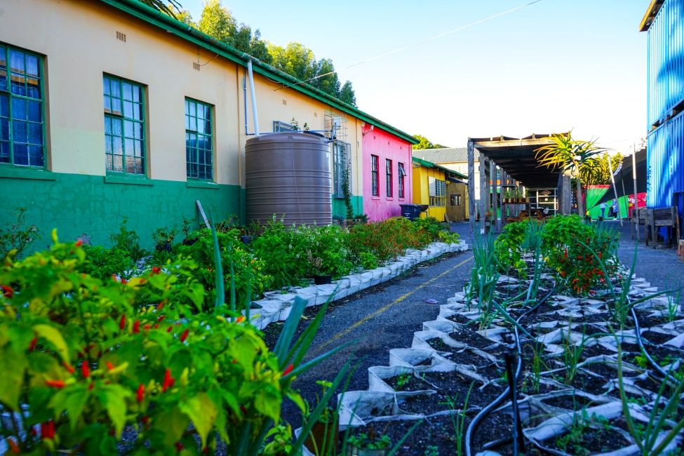 iKhaya leLanga also has a community food garden 