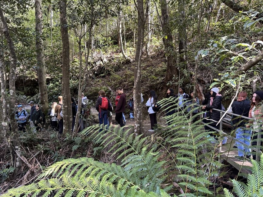 Nature Hike