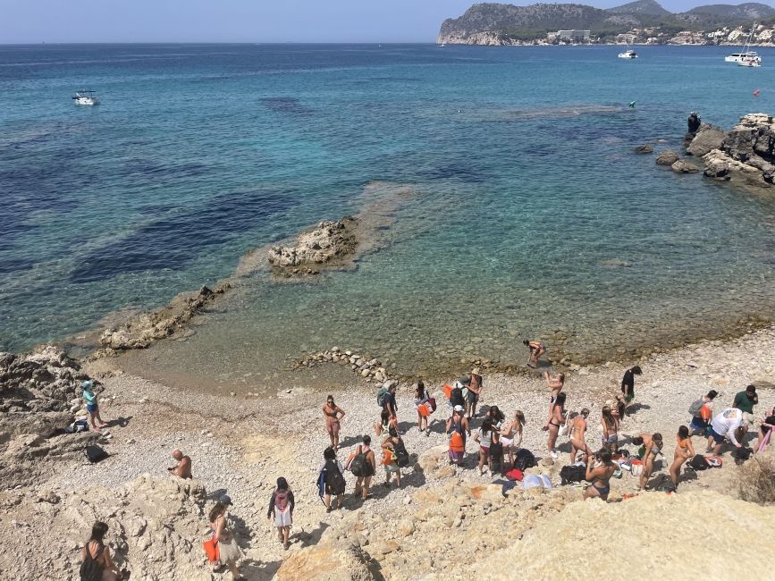 Mallorca's Marine Ecosystems