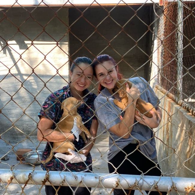 botswana animal shelter volunteers