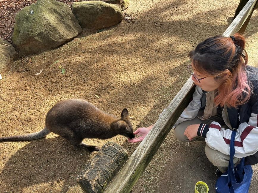 madison with a wallaby