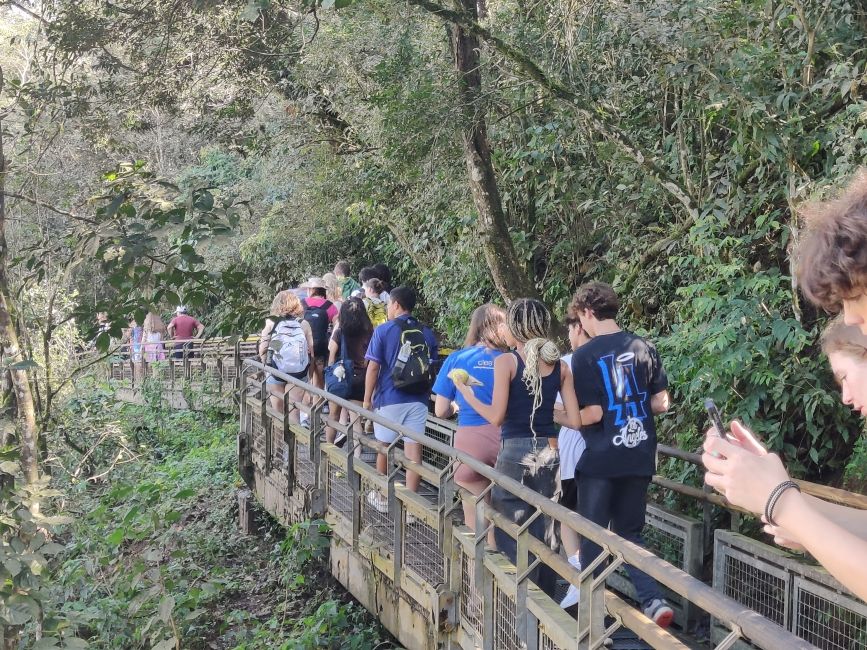 Walking through the jungle in Iguazú.