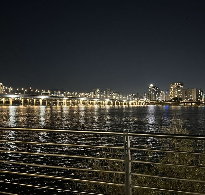 It is incredibly popular to come to Han River and enjoy a fried chicken picnic with your friends in Seoul.