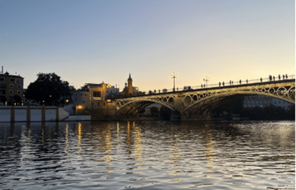 Living Abroad Guide — Puentes