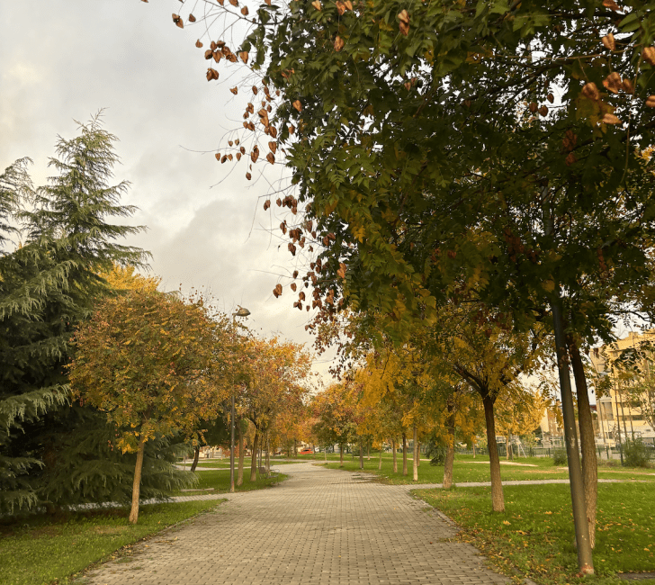 A pretty walk to school is the last stop on my commute