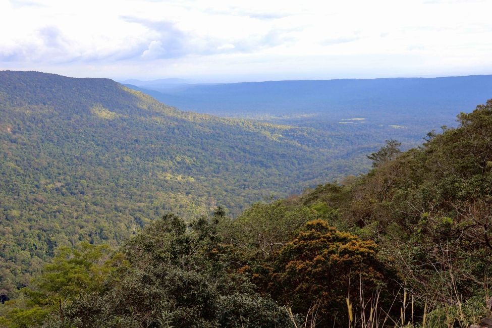 Cliff View from Khao Yai 