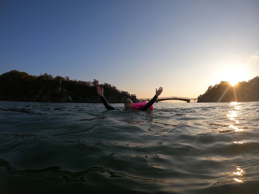 Sea Swimming