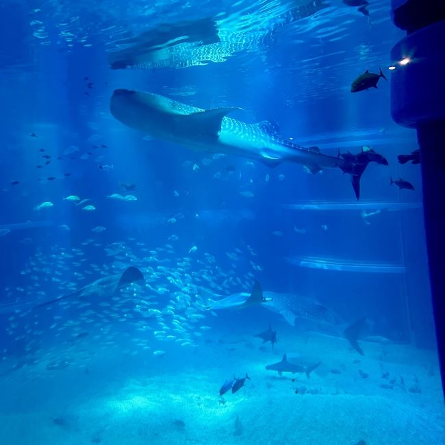 kyoto japan aquarium