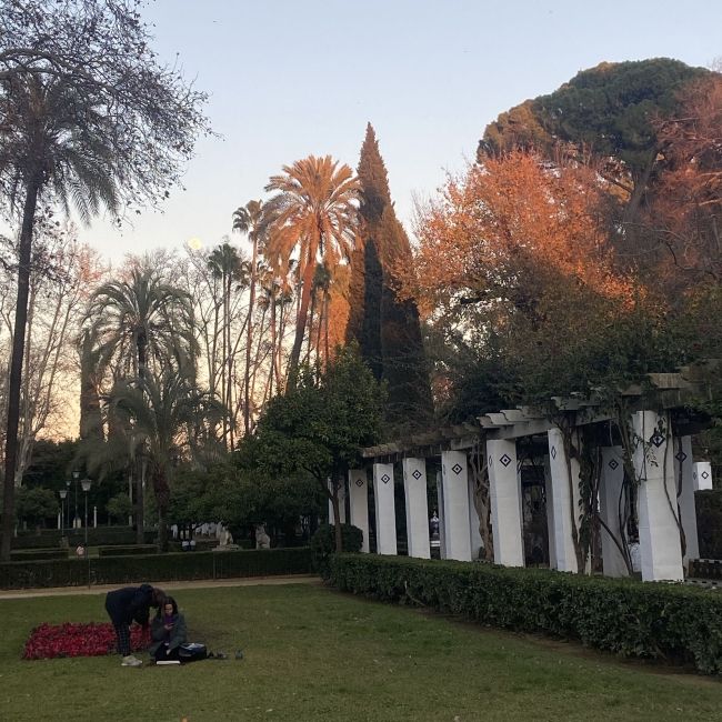 study abroad seville gardens