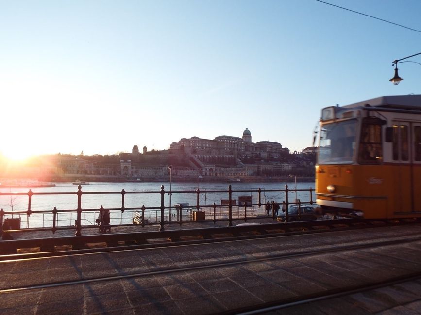 Tram passing in front of Danube River