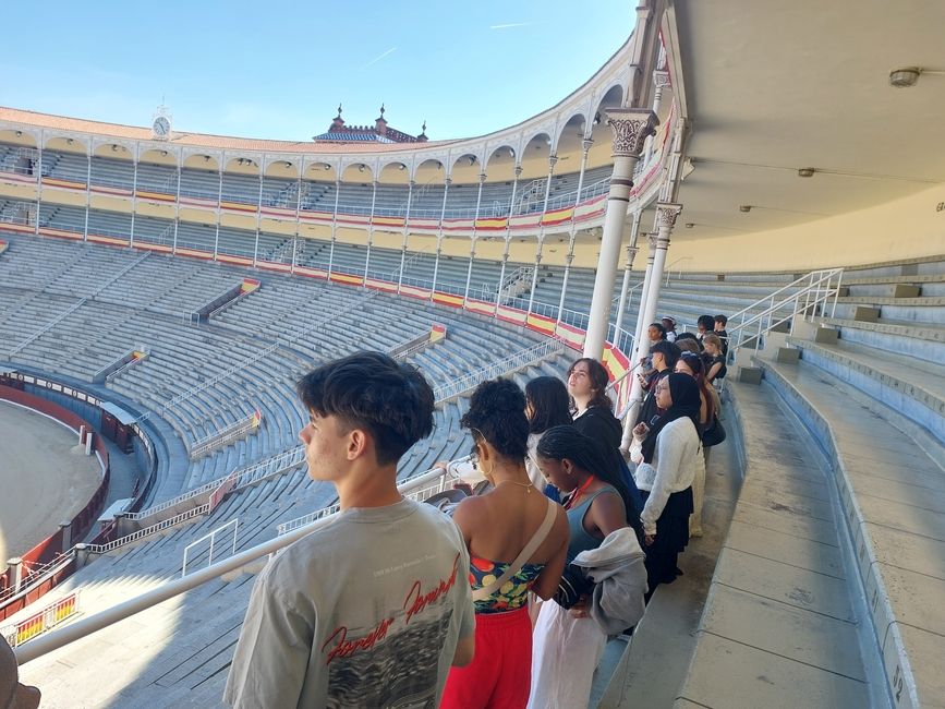 Students look out over the bull ring
