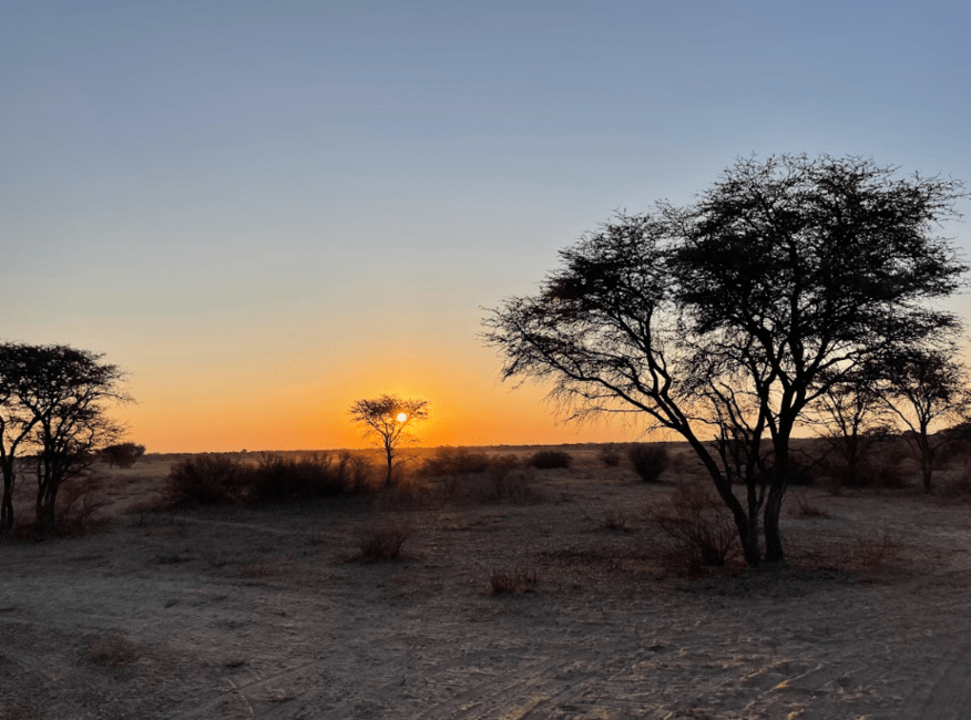 Beautiful sunset to close out the game drive.