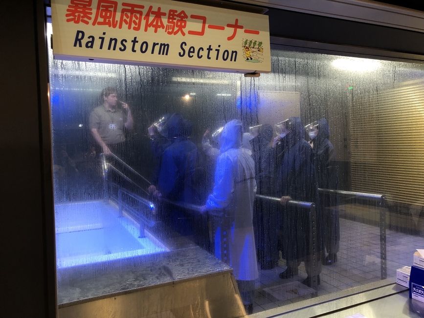 Group of CIEE students with instructor explaining what to do in a rainstorm