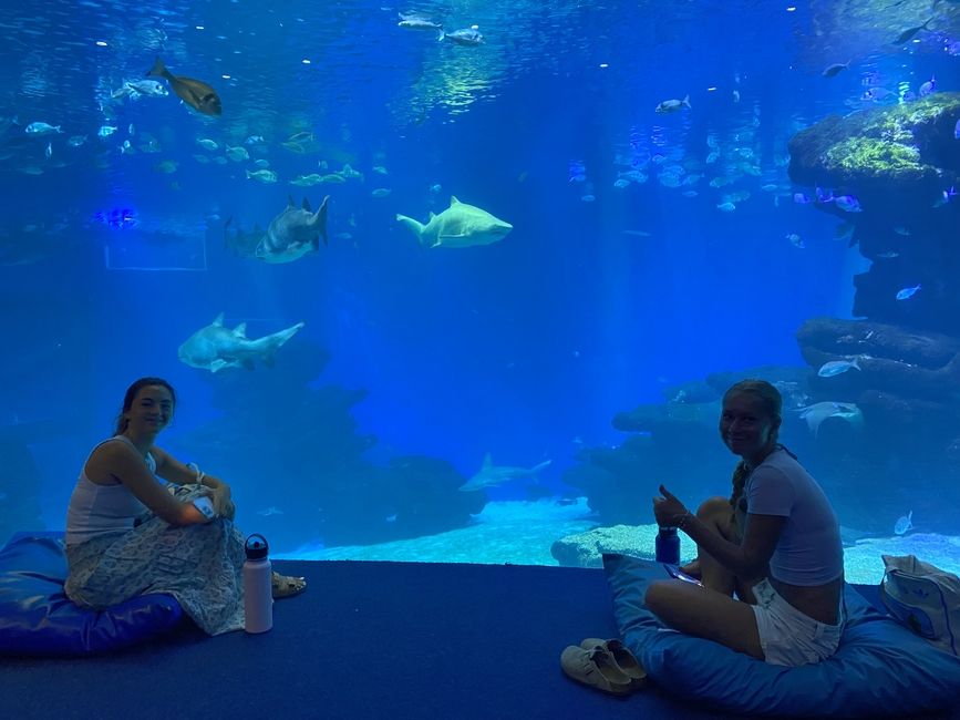 students at aquarium 