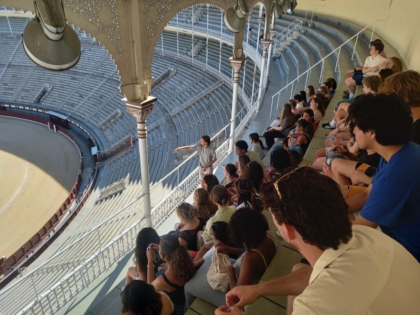 Learning about bullfights